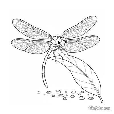 Dragonfly Guarding Dewdrops