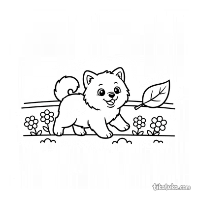 Fluffy Samoyed Puppy