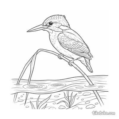 Kingfisher on a Reed