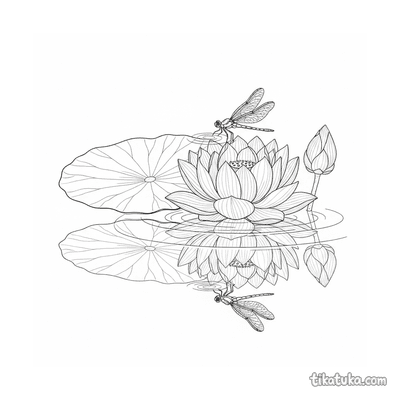 Lotus Flower Floating on Pond
