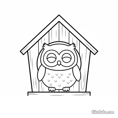 Little Owl in Birdhouse