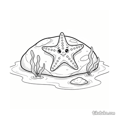 Starfish Resting on a Rock